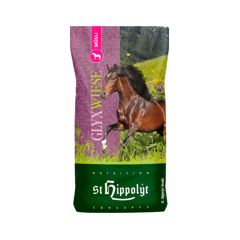 St Hippolyt Glyx wiese mysli