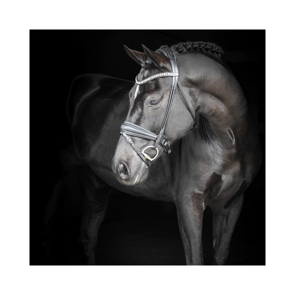 Elegantti kaareva otsapanta harmailla Swarovskikristalleilla