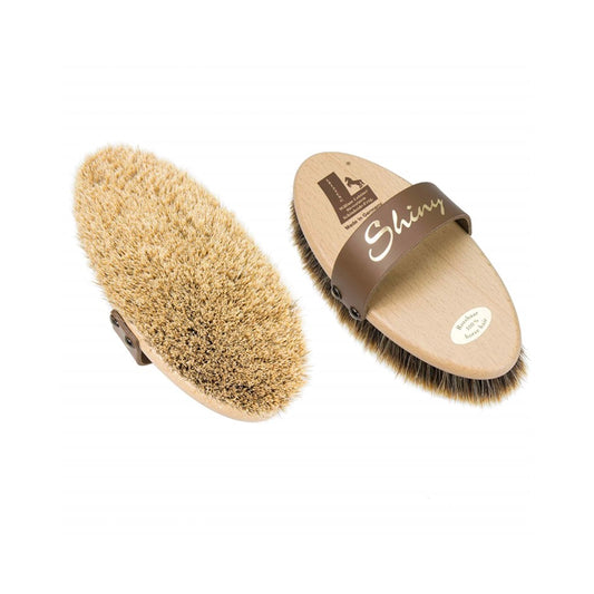 William Leistner Shiny harja