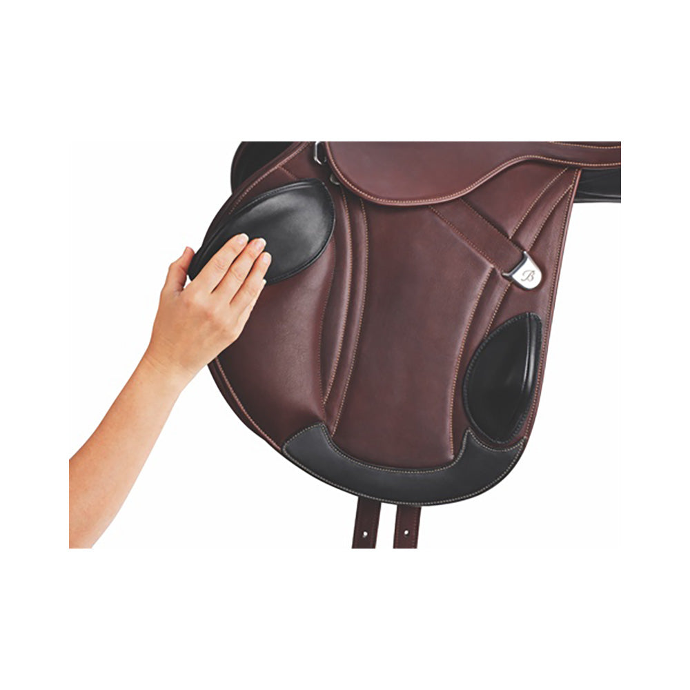 Bates Advanta estesatula