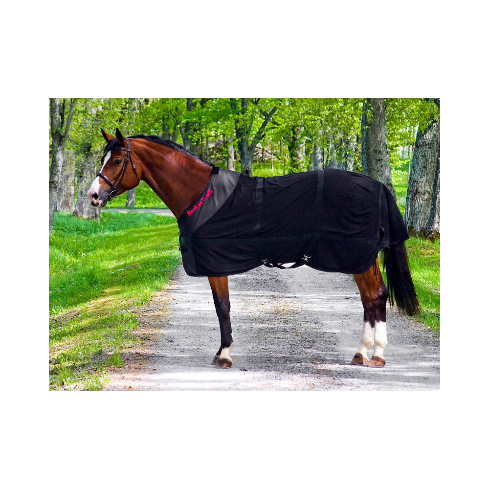 Back on Track verkkoloimi