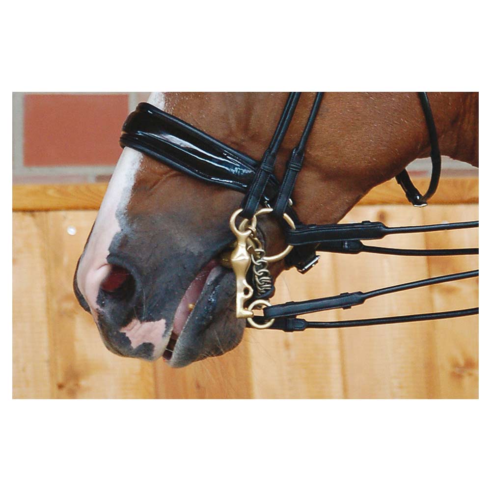 Dyon kankisuitset lakatulla täysmustalla turparemmillä