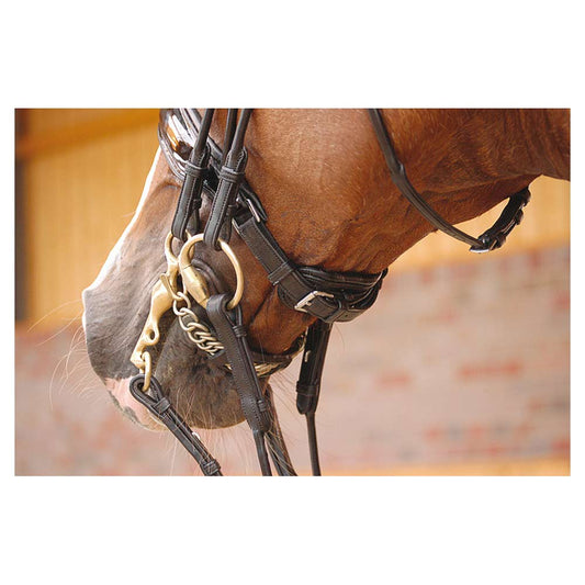 Dyon kankisuitset lakatulla täysmustalla turparemmillä