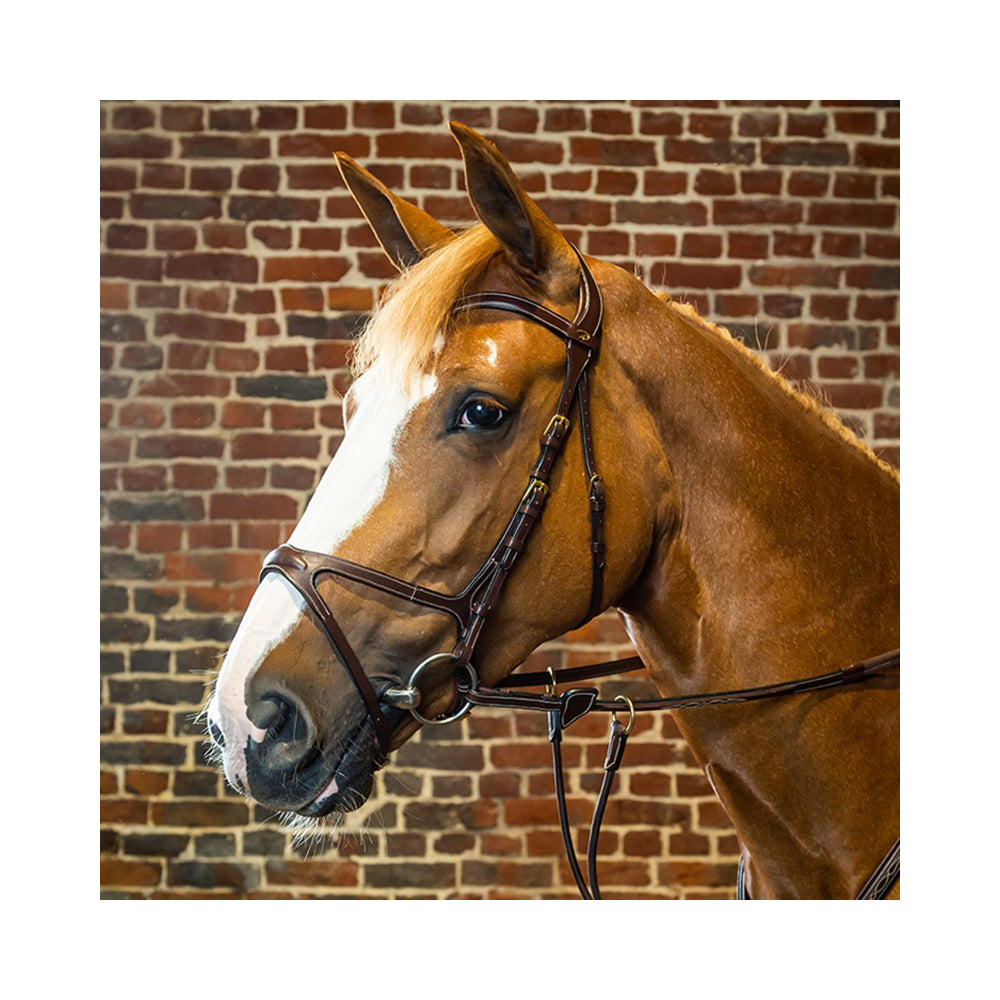 Dyon X-Fit anatomiset suitset