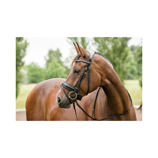 Horse Guard Ergo Ergonomiset Suitset