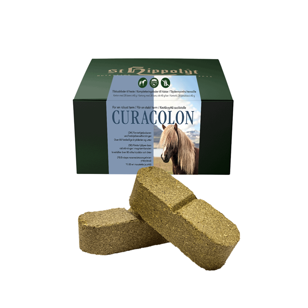 St Hippolyt Curacolon