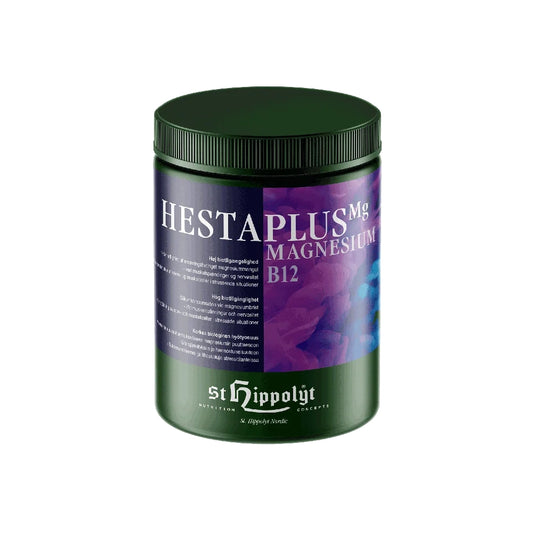 Hestaplus Magnesium B12 St Hippolyt