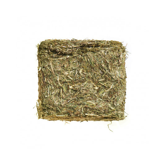 Agrobs PRE ALPIN Compact