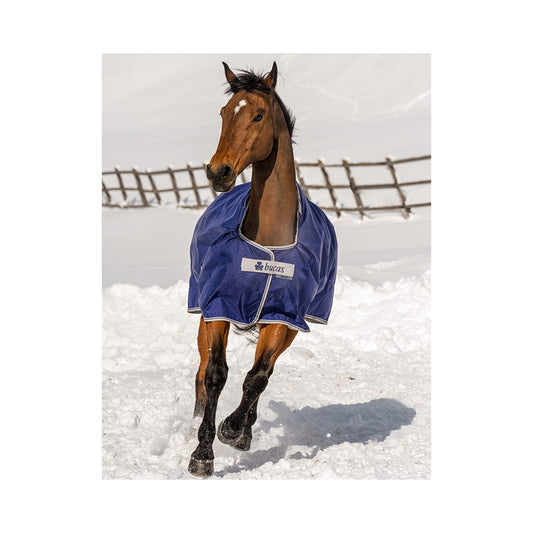 Bucas Atlantic turnout combi neck kaulakappale