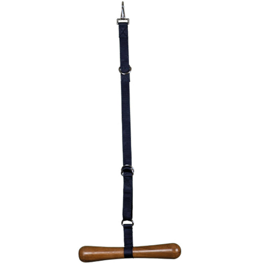 Dyón satula riipustin