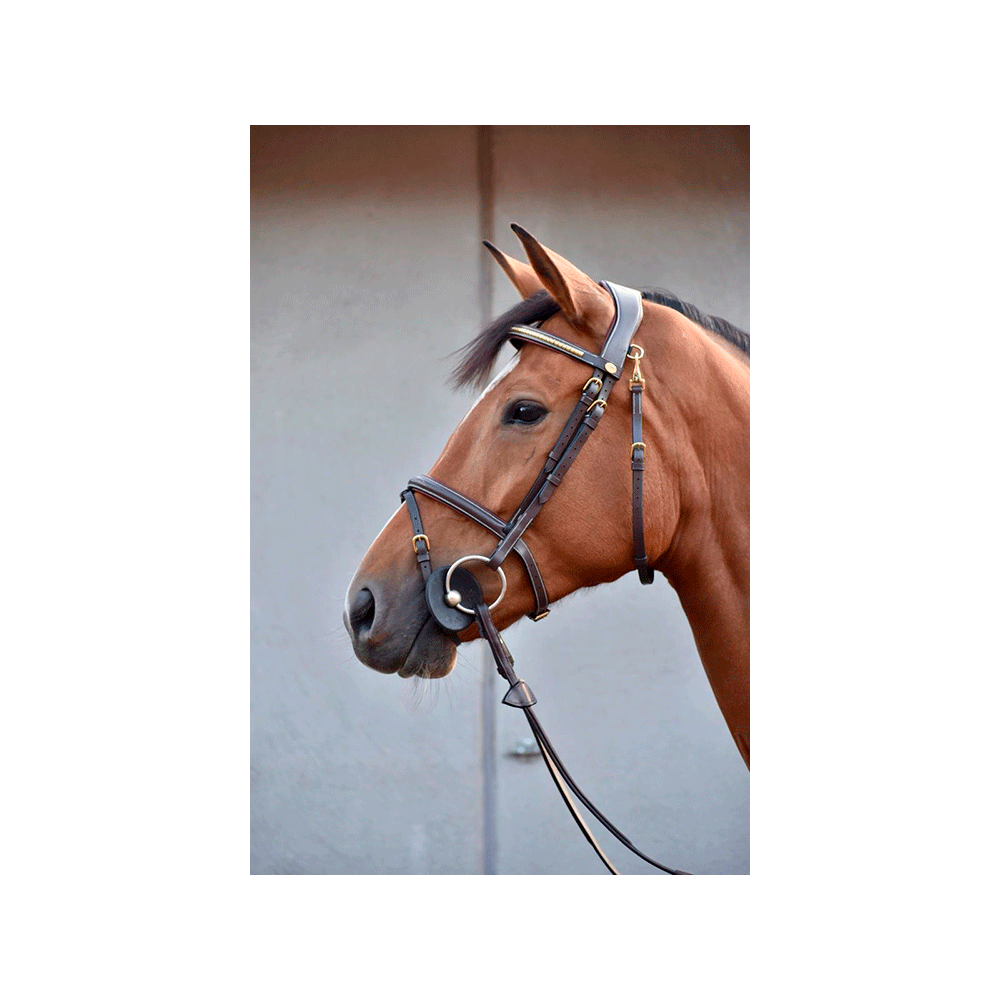 Dyon Working clincher suitset