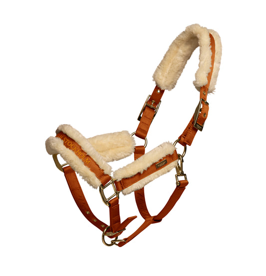 Equestrian Stocholm riimu BRONZE GOLD,