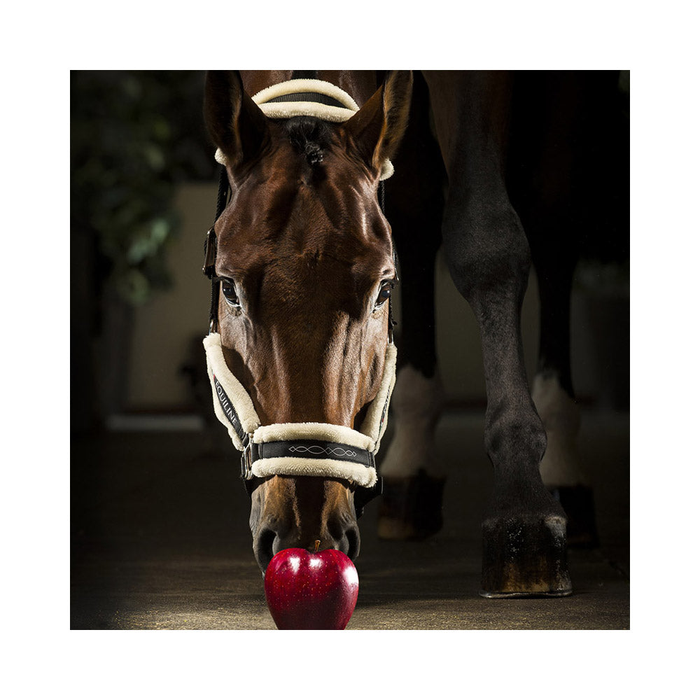 Equiline Tom riimu karvapehmusteella