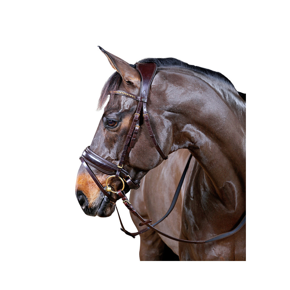 Hevonen - Suitset ja -tarvikkeet - Nivelsuitset
