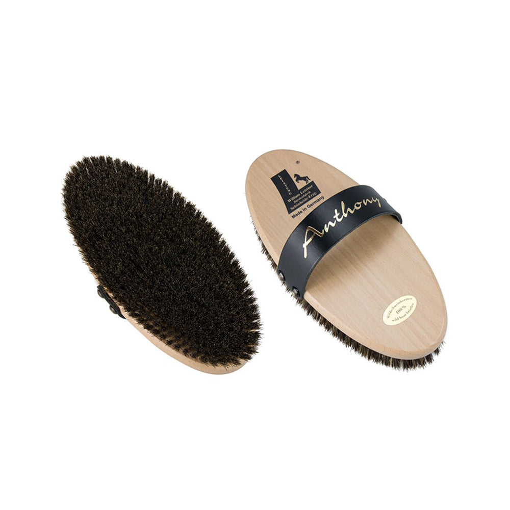 William Leistner Anthony