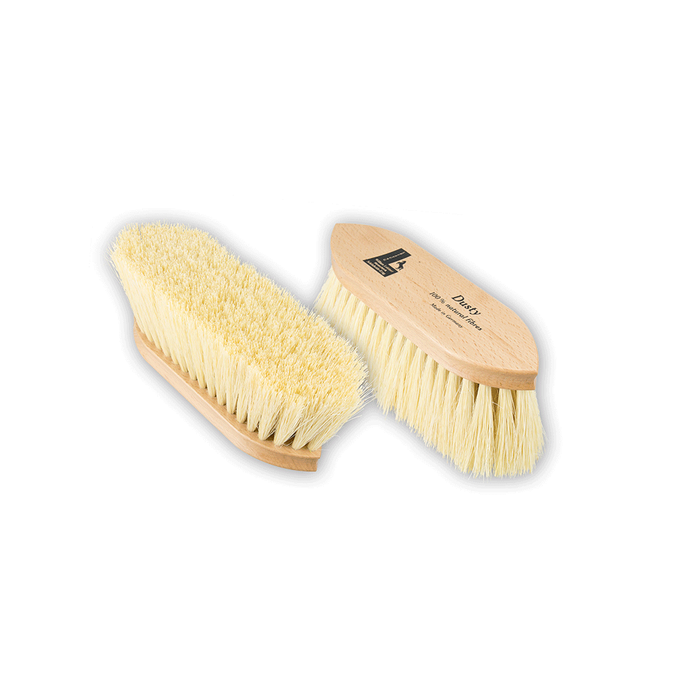 William Leistner Dusty Pölyharja