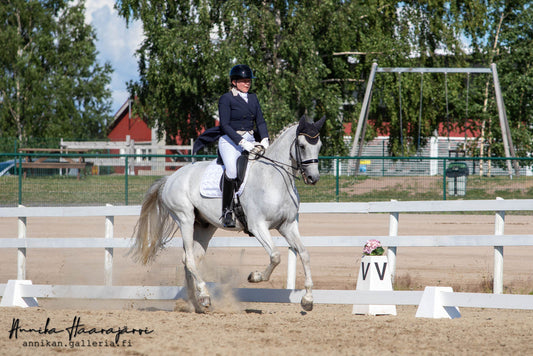 Monica & Remington Steele