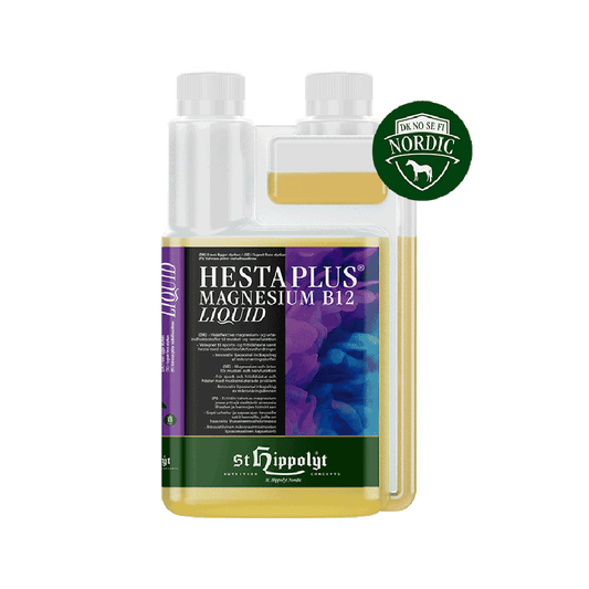 St Hippolyt Liquid Magnesium B12 Hesta Plus