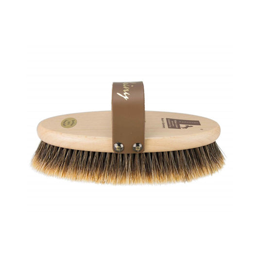 William Leistner Shiny harja