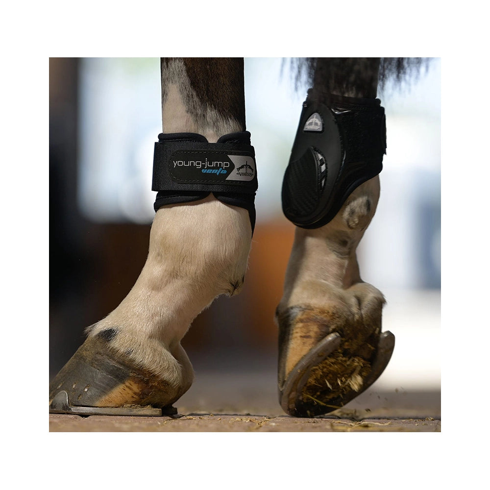 Veredus Vento Young Jump -suojat – Hengittävät takajalkasuojat nuorille hevosille