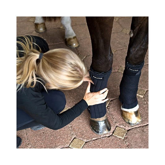 Back on Track Fleecepintelit, pari BoT