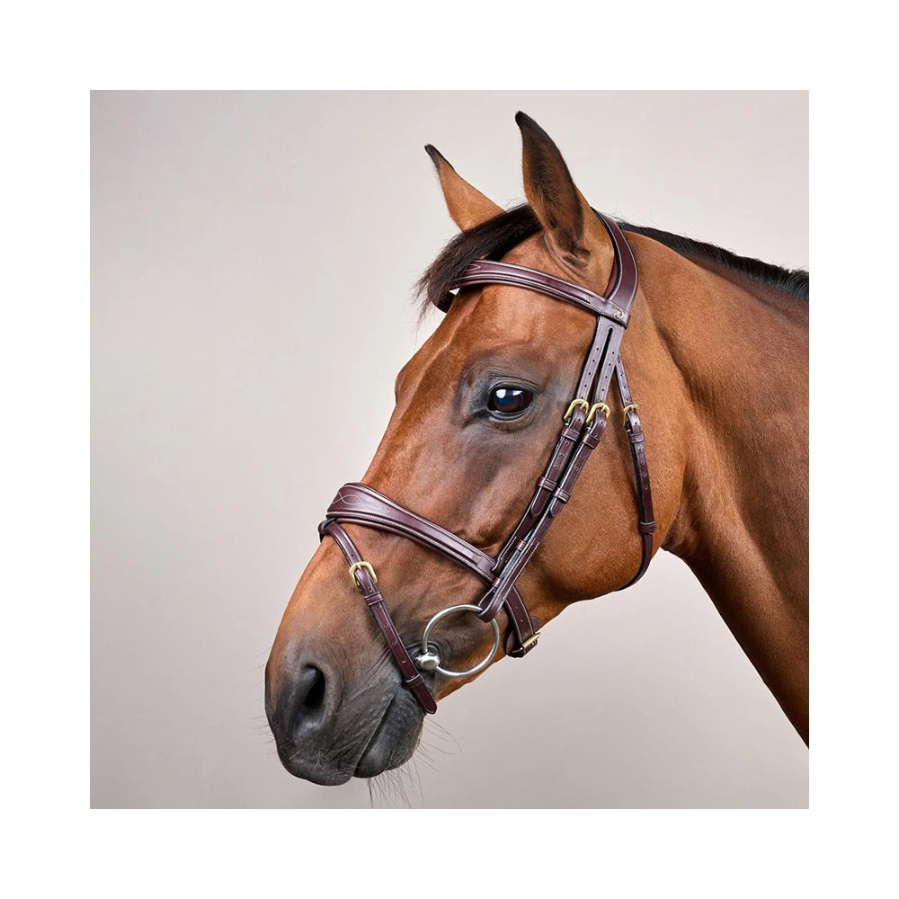 Dyon suitset - Dy’on Anatomic Flash Noseband Bridle – eleganssia, istuvuutta ja ehdotonta mukavuutta
