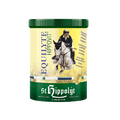 St. Hippolyt Equilyte elektrolyytit hevoselle 1 kg