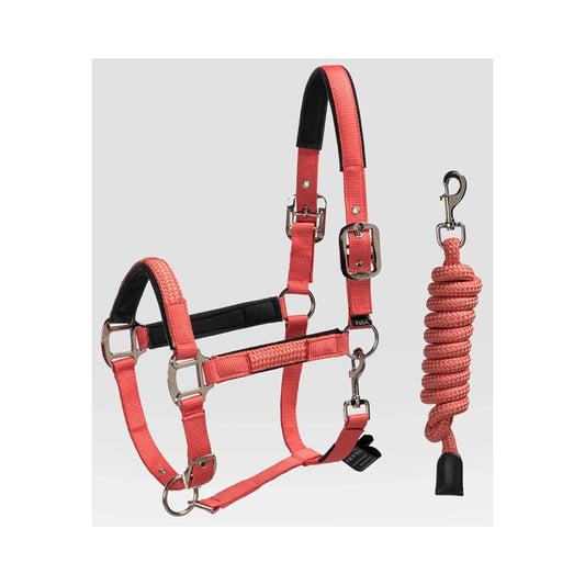 Equiline Cuates riimu ja riimunnaru Ginger-oranssina säädettävällä turpa- ja niskahihnalla