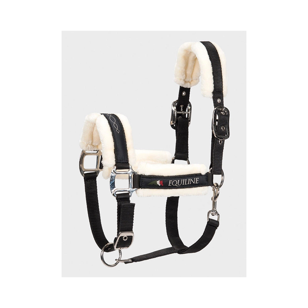Equiline Tom riimun soljet ja satiinipintaiset metalliosat, laadukas viimeistely ja pikalukitus