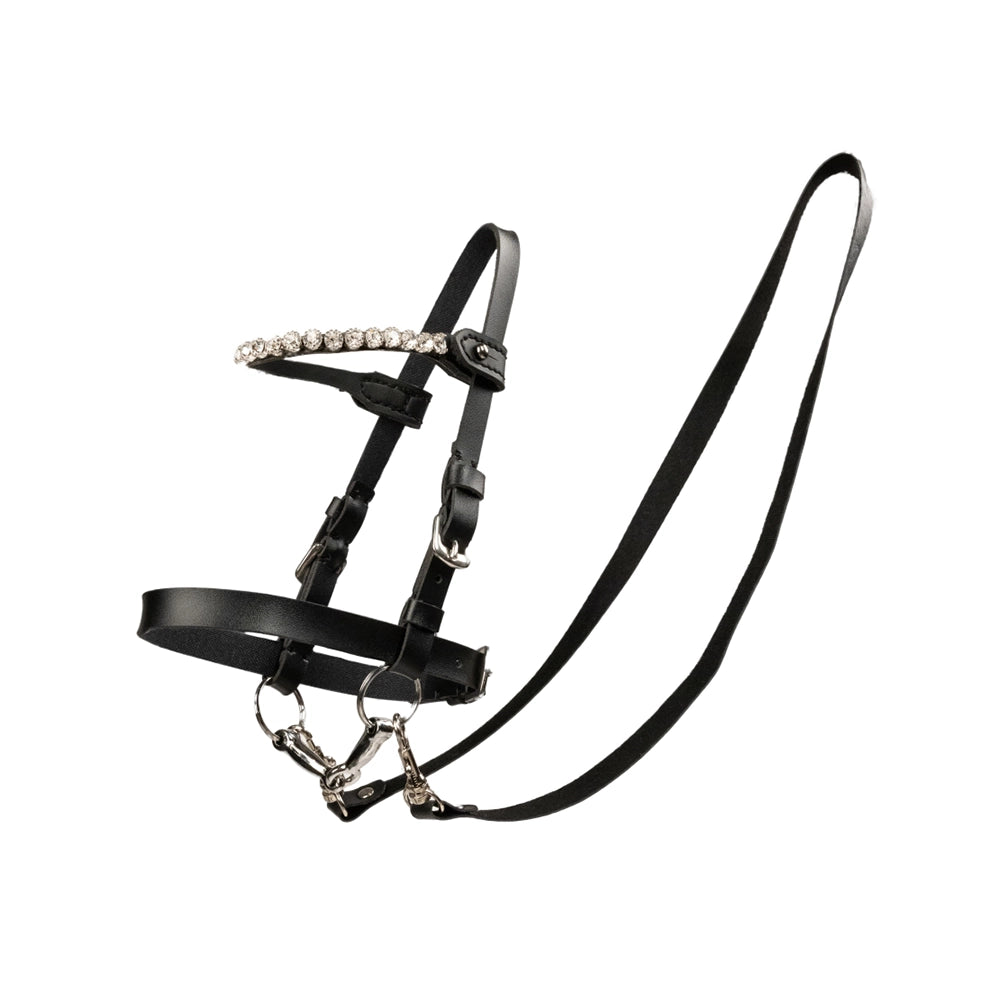 Keppihevosen suitset My happy Horse