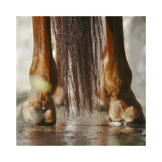 Nathalie After Work Wellness - viilentävä ja hoitava pesuneste treenin jälkeen