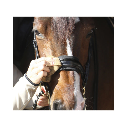 Ratsastusvarusteiden päivittäinen nahanhoito
