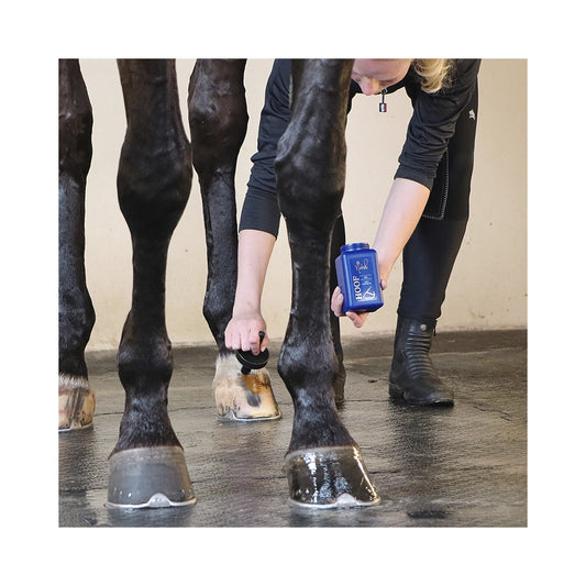 Nathalie Hoof oil - kavioöljy