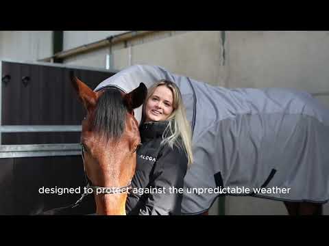 Aloga Fly Dry Sheet hyönteisloimi hevoselle |  vedenpitävällä selkäosalla