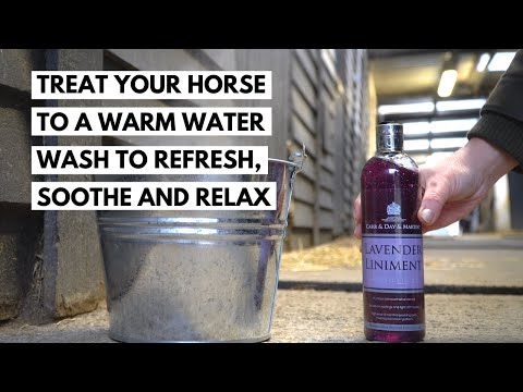 Carr & Day & Martin Laventeli Linimentti