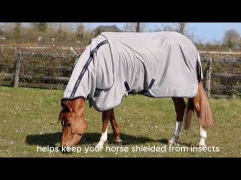 Aloga Fly Sheet  | hyönteisloimi hevoselle