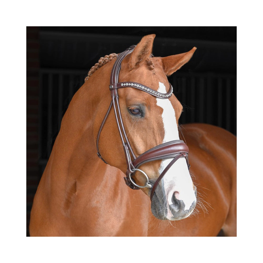 Tyylikäs ruskea koulusuitset harjoitteluun ja kisoihin