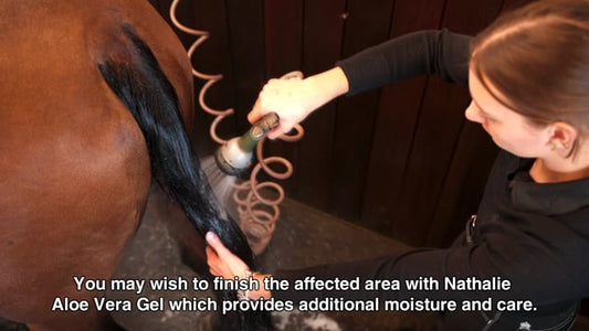 Nathalie Salt Shampoo - rauhoittava ja hoitava suolashampoo