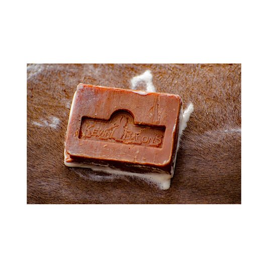 Kevin Bacon's Hevossaippua