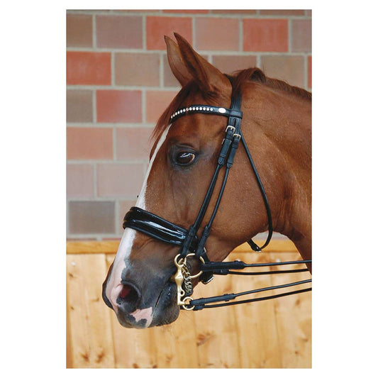 Dyon kankisuitset lakatulla täysmustalla turparemmillä