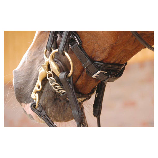 Dyon dressage pyöristetty kankisuitset lakatulla turparemmillä, valkoinen vuori