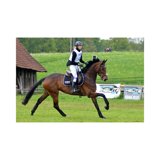 Helite Varapatruuna – 50cc / 60cc / 85cc paukkuliiville