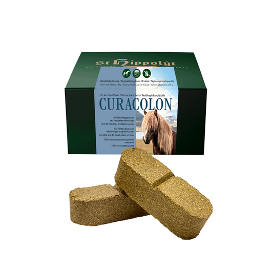 St Hippolyt Curacolon