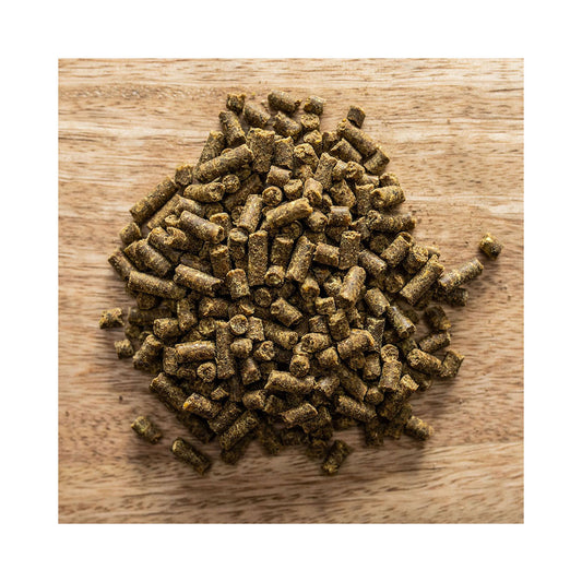 Hestaplus Zink St Hippolyt Sinkki