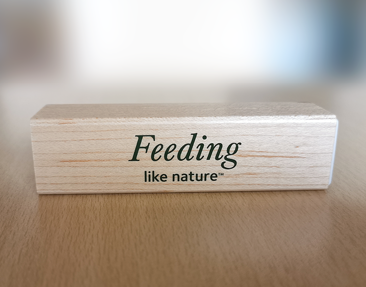 Varavirta St Hippolyt Powerbank