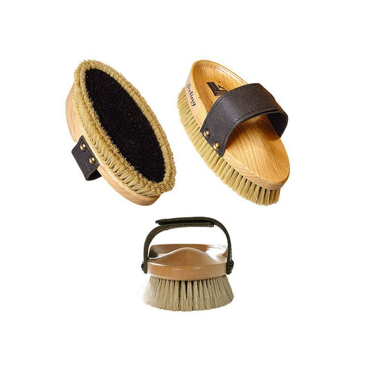 William Leistner Feeling harja