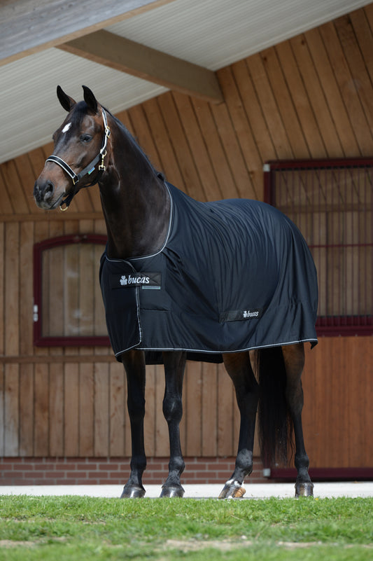 Bucas Shamrock Power kuivatusloimi