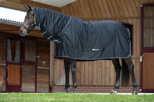 Bucas Shamrock Power kaulakappaleella