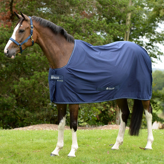 Bucas Shamrock Power kaulakappaleella