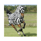 Hevonen zebra loimessa laitumella